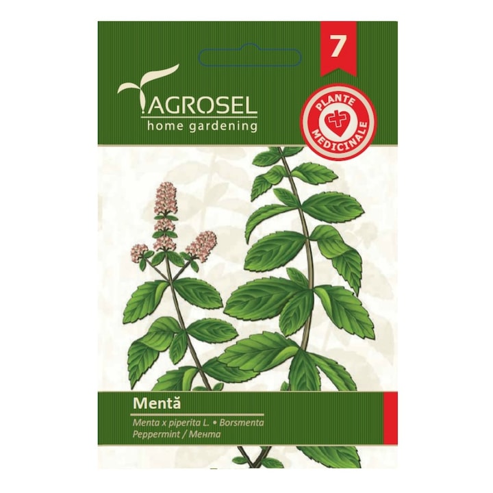 Seminte Menta, Agrosel home gardening, 0.15 g