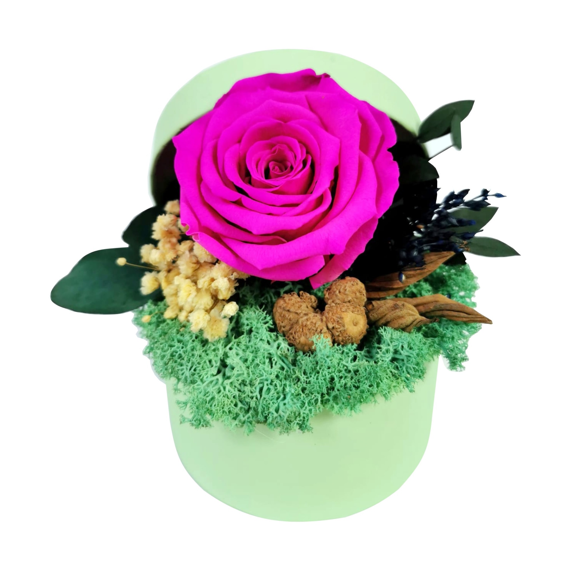 Aranjament floral in cutie cadou verde cu Trandafir Criogenat ROZ , Rose Amor, cu licheni stabilizati