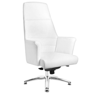 Mobilier profesional