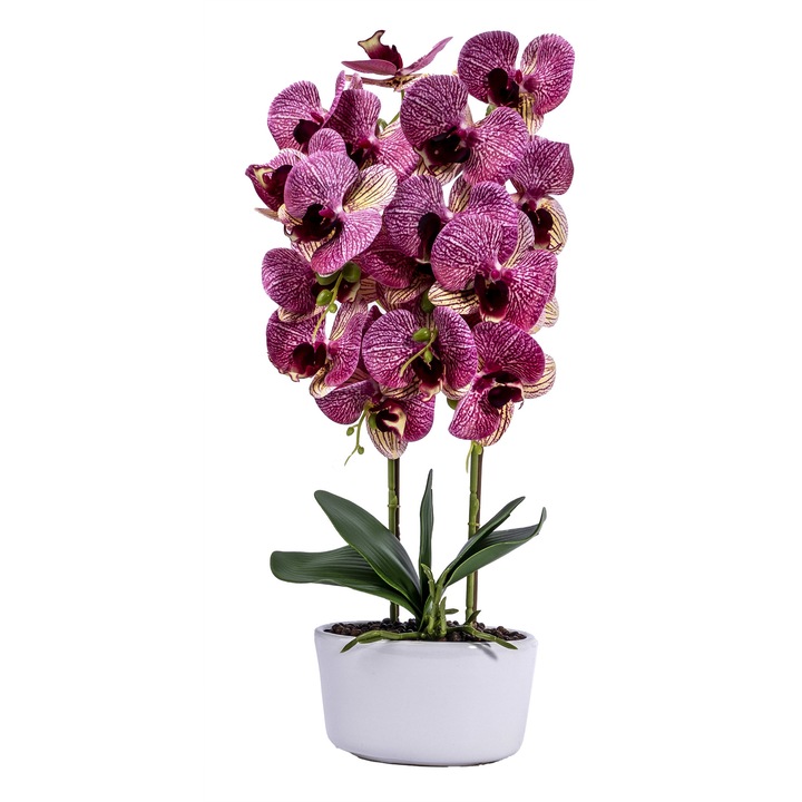 Orhidee 3 fire cu aspect natural in ghiveci oval ceramica alb, H 50 cm, B.S.P. / SL261_ROZ