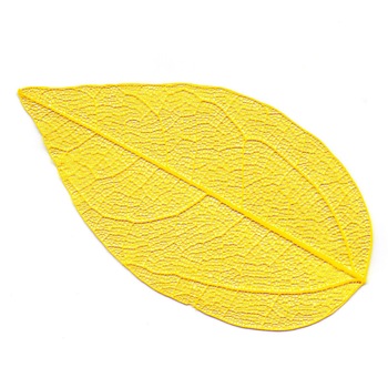 Set frunze decorative, schelet, 10 buc, 4-6 cm, galbene Set frunze decorative, schelet, 10 buc, 4-6 cm, galbene