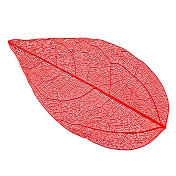 Set frunze decorative, schelet, 10 buc, 4-6 cm, rosii Set frunze decorative, schelet, 10 buc, 4-6 cm, rosii