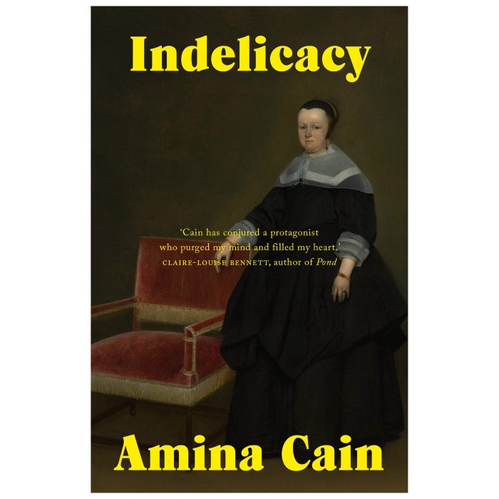 Indelicacy - Amina Cain