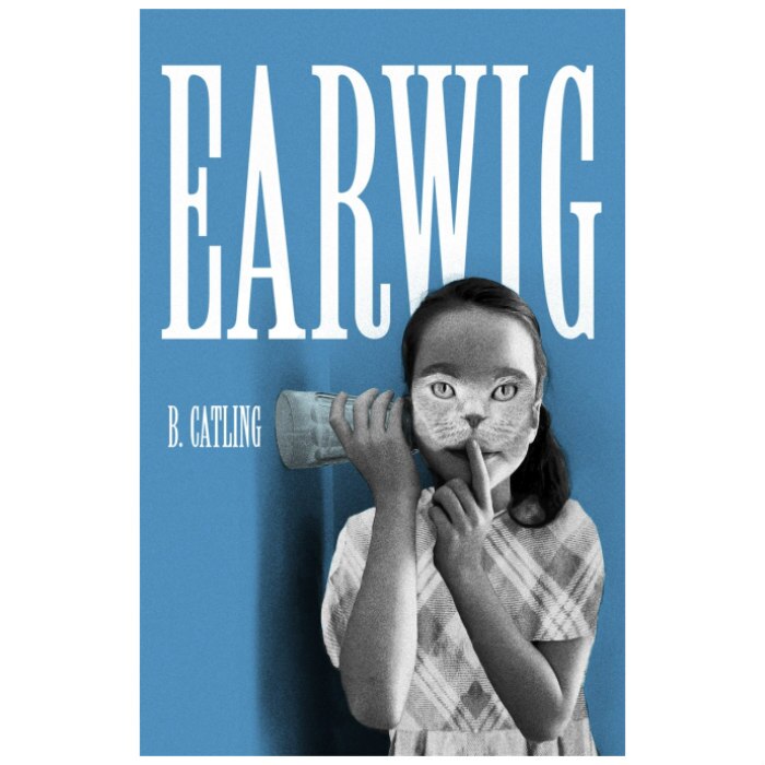Earwig - Brian Catling