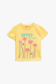 KOTON, Tricou cu imprimeu grafic, Oranj pal/albastru aqua/roz, 68-74 CM KOTON, Tricou cu imprimeu grafic, Oranj pal/albastru aqua/roz, 68-74 CM