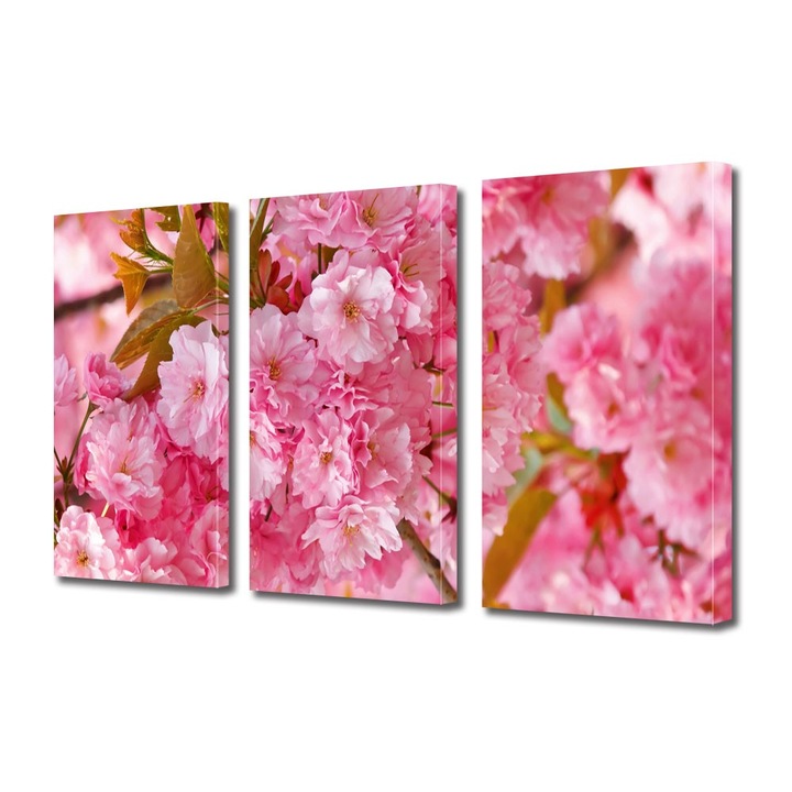 Tablou Multicanvas 3 Piese Flori, Copac Sakura japonez inflorit, 100 x 210 cm