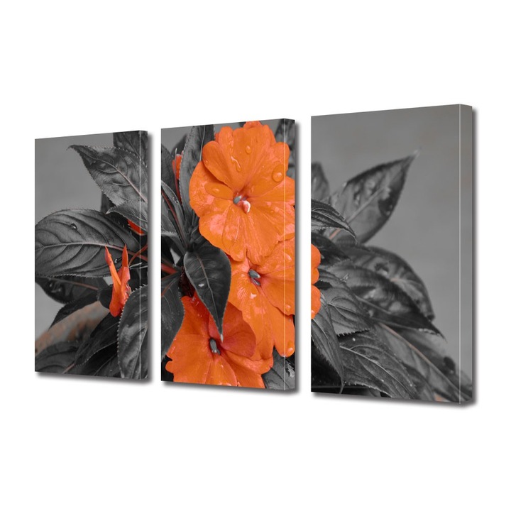 Tablou Multicanvas 3 Piese Flori, Flori cu nuante portocalii, 100 x 210 cm