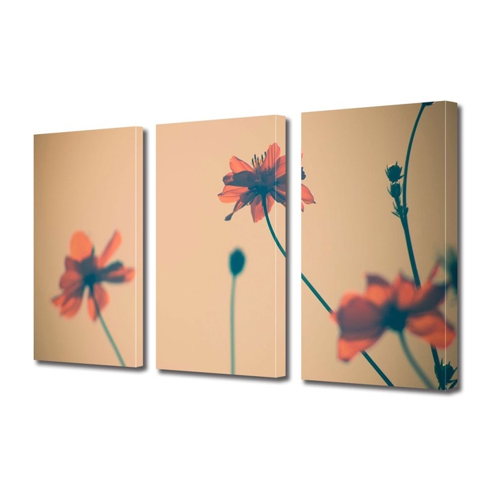 Tablou Multicanvas 3 Piese Flori, Maci artistici, 30 x 60 cm