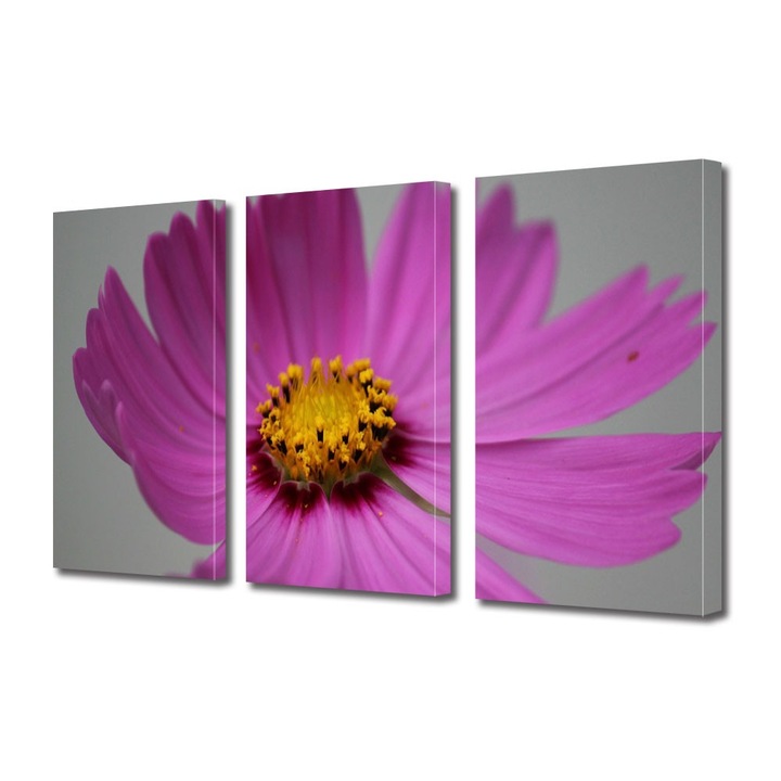 Tablou Multicanvas 3 Piese Flori, Floare Cosmo, 100 x 210 cm