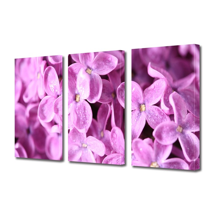 Tablou Multicanvas 3 Piese Flori, Liliac violet, 100 x 210 cm