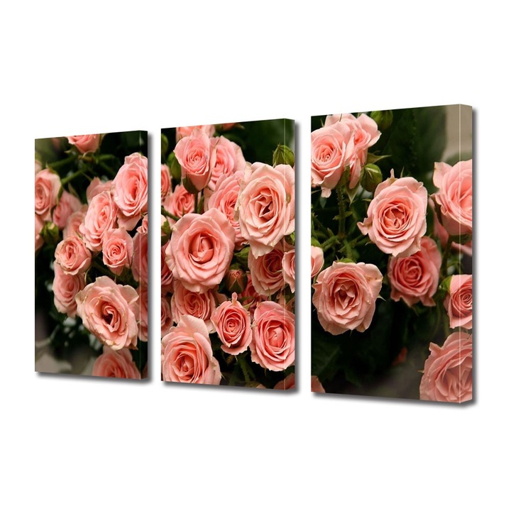Tablou Multicanvas 3 Piese Flori, Muguri de trandafiri roz, 25 x 45 cm