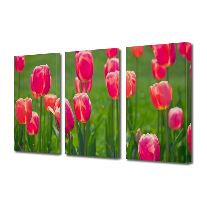 Tablou Multicanvas 3 Piese Flori, Lalele de camp, 100 x 210 cm
