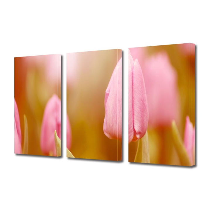Tablou Multicanvas 3 Piese Flori, Mugure de lalea roz, 45 x 90 cm