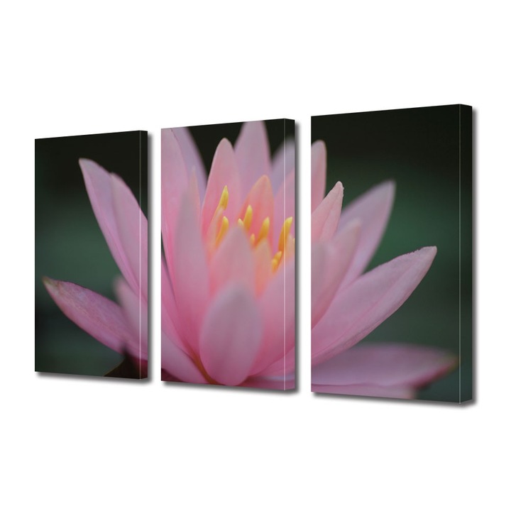 Tablou Multicanvas 3 Piese Flori, Liliac de apa roz, 30 x 60 cm