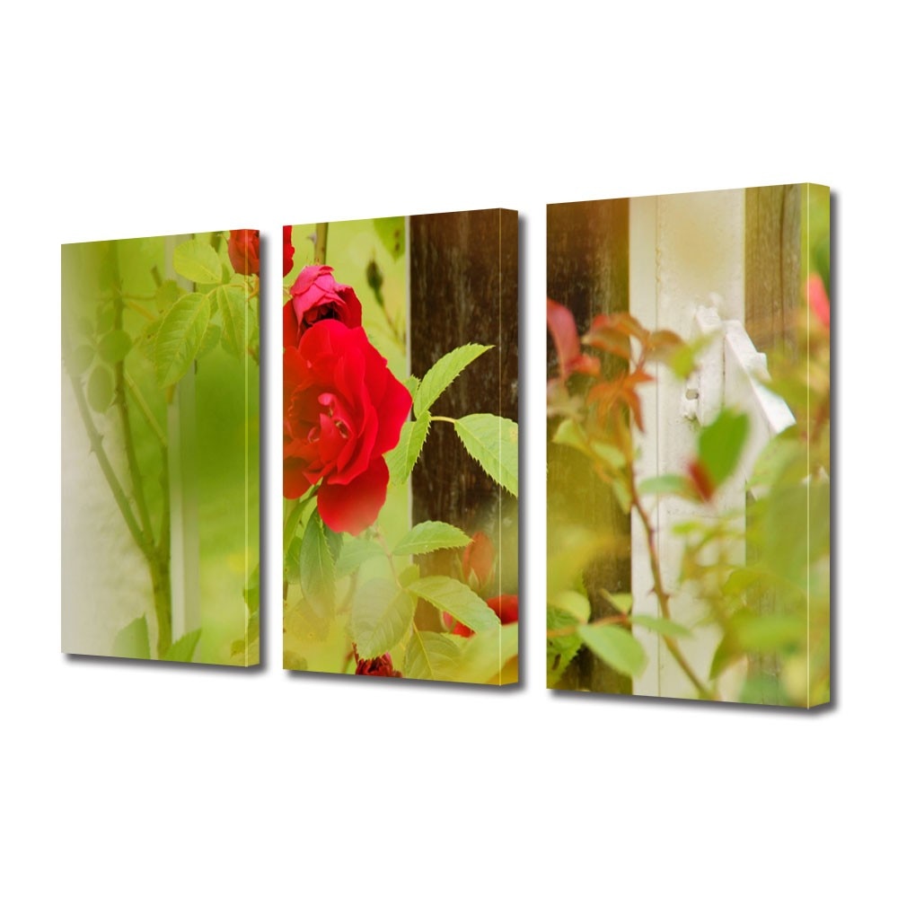 Tablou Multicanvas 3 Piese Flori, Trandafiri la fereastra, 25 x 45 cm