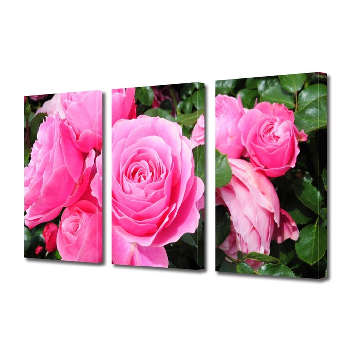 Tablou Multicanvas 3 Piese Flori, Trandafirii sunt roz, 30 x 60 cm