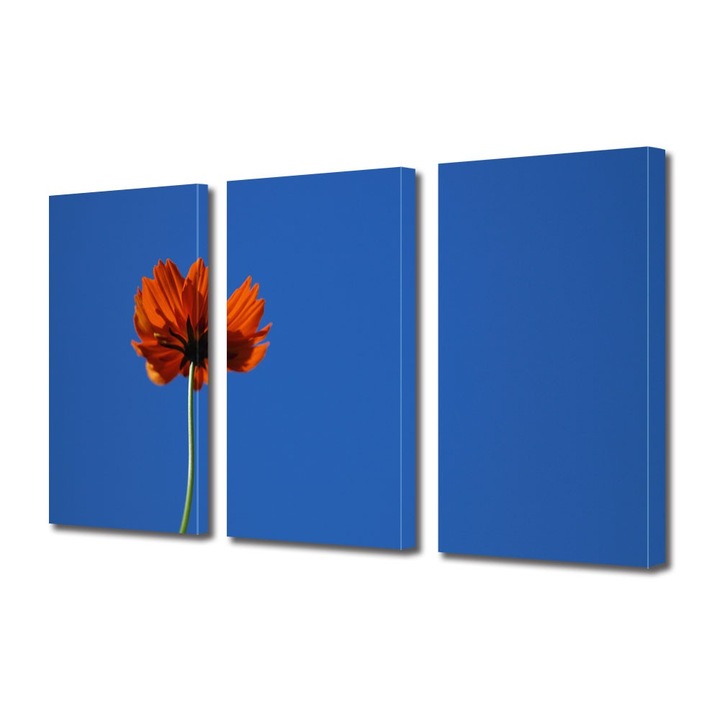 Tablou Multicanvas 3 Piese Flori, Mac puternic, 100 x 210 cm