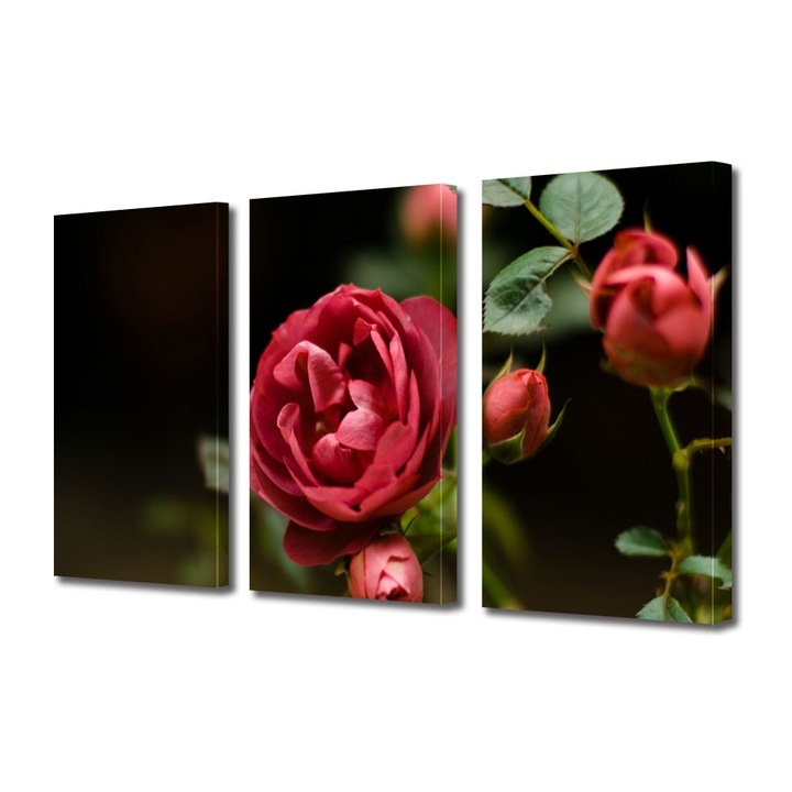Tablou Multicanvas 3 Piese Flori, Muguri de trandafir, 60 x 120 cm