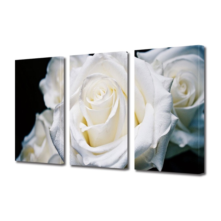 Tablou Multicanvas 3 Piese Flori, Trandafiri albi, 90 x 180 cm