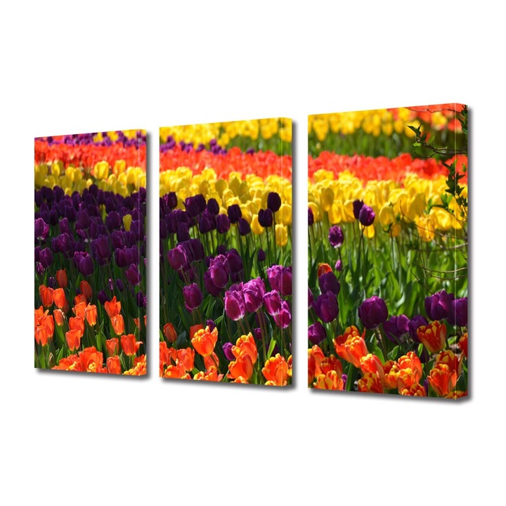 Tablou Multicanvas 3 Piese Flori, Curcubeu de flori, 100 x 210 cm