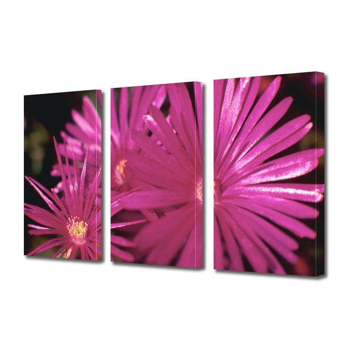 Tablou Multicanvas 3 Piese Flori, Petale subtiri, 30 x 60 cm