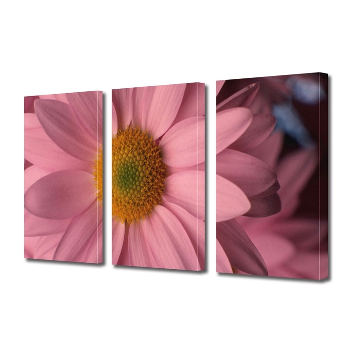Tablou Multicanvas 3 Piese Flori, Flori cu petale roz pal, 60 x 120 cm