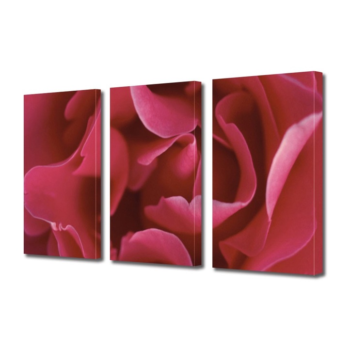 Tablou Multicanvas 3 Piese Flori, Petale subtirele, 90 x 180 cm