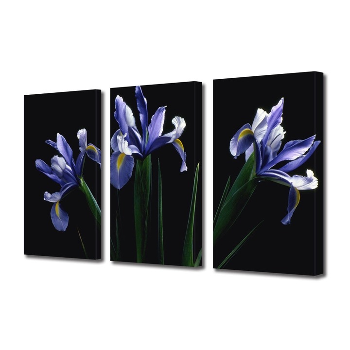 Tablou Multicanvas 3 Piese Flori, Flori mov, 100 x 210 cm