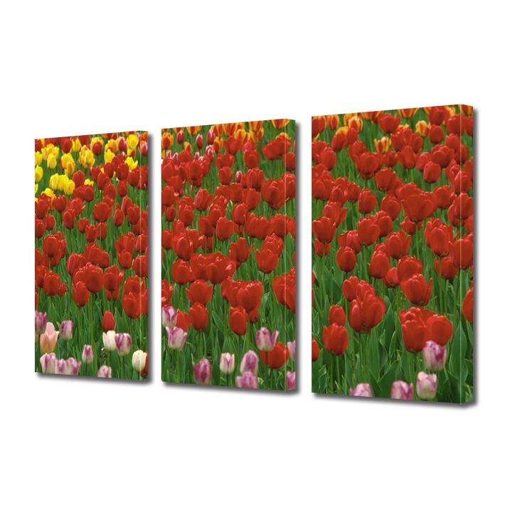 Tablou Multicanvas 3 Piese Flori, Coloritul florilor, 100 x 210 cm