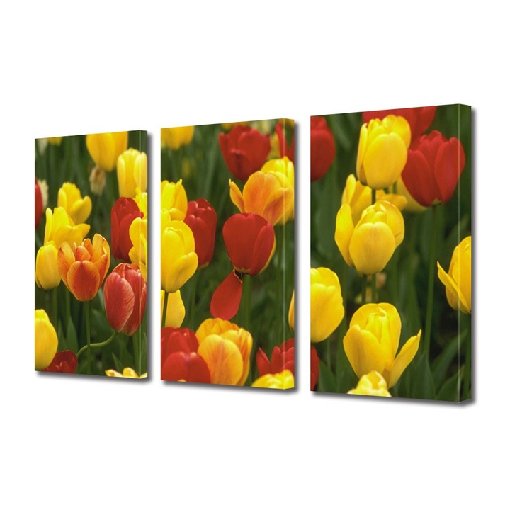 Tablou Multicanvas 3 Piese Flori, Lalele Galbene si Rosii, 25 x 45 cm