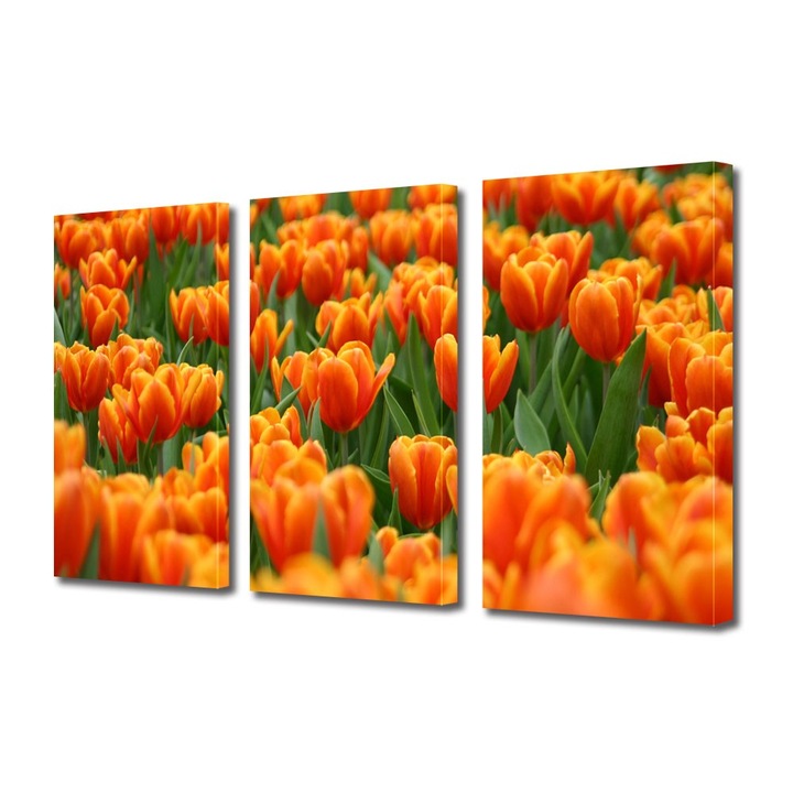 Tablou Multicanvas 3 Piese Flori, Lalele portocalii, 100 x 210 cm