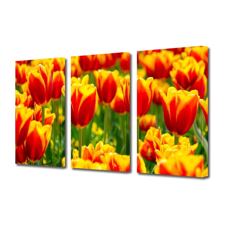Tablou Multicanvas 3 Piese Flori, Flori cu colorit special, 100 x 210 cm