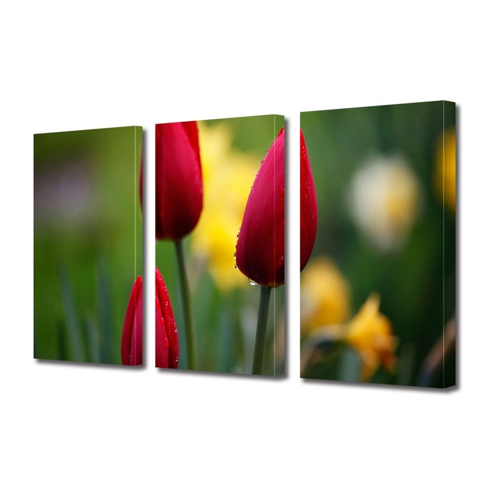 Tablou Multicanvas 3 Piese Flori, Trei lalele frumoase, 100 x 210 cm