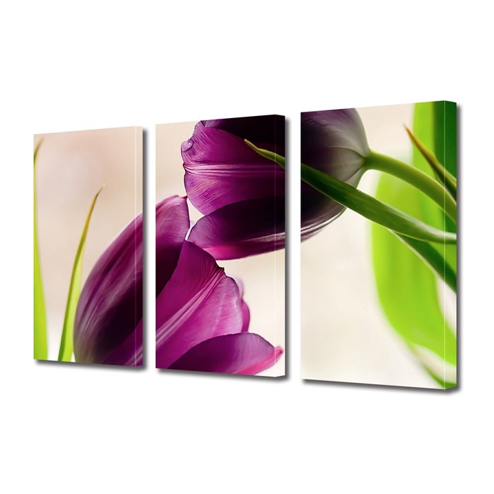 Tablou Multicanvas 3 Piese Flori, Doua lalele violet, 100 x 210 cm