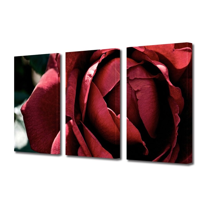 Tablou Multicanvas 3 Piese Flori, Superb trandafir rosu inchis, 90 x 180 cm