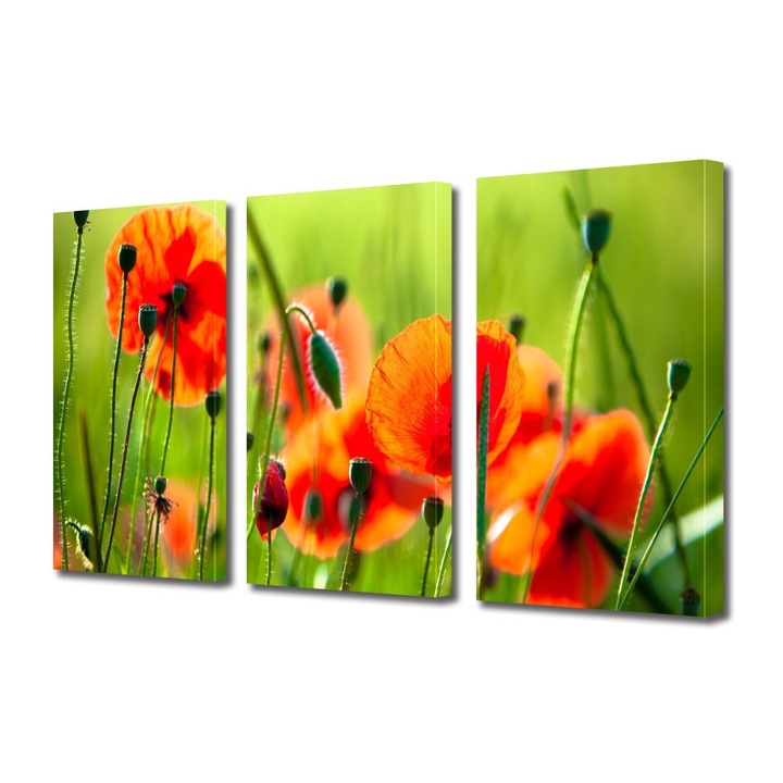 Tablou Multicanvas 3 Piese Flori, Maci frumosi, 45 x 90 cm