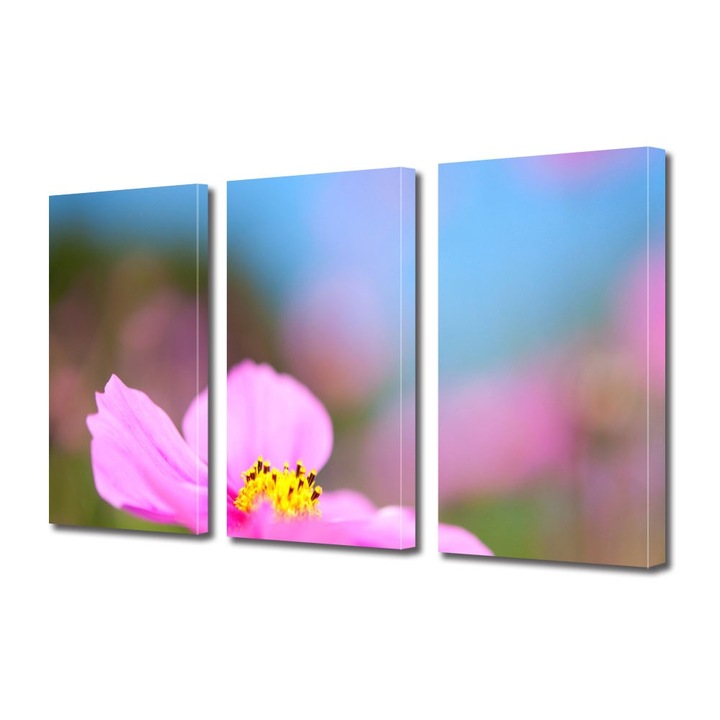 Tablou Multicanvas 3 Piese Flori, Floare cu nuante violet, 90 x 180 cm