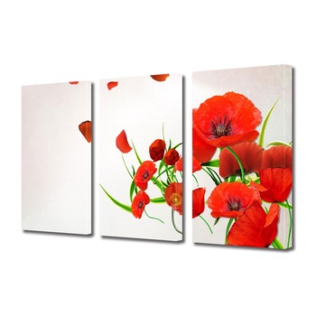 Tablou Multicanvas 3 Piese Flori, Maci in vant, 45 x 90 cm Tablou Multicanvas 3 Piese Flori, Maci in vant, 45 x 90 cm