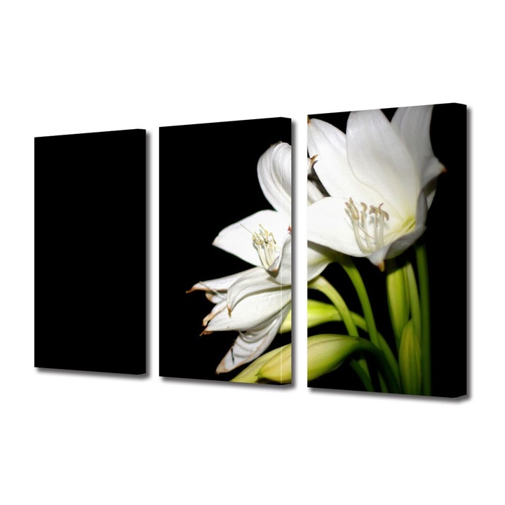 Tablou Multicanvas 3 Piese Flori, Liliac alb, 100 x 210 cm