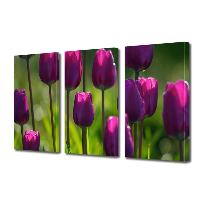 Tablou Multicanvas 3 Piese Flori, Lalele, 25 x 45 cm