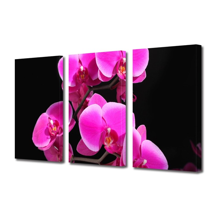 Tablou Multicanvas 3 Piese Flori, Orhidee Roz, 25 x 45 cm
