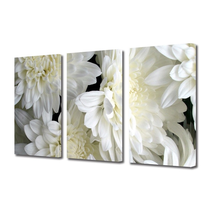 Tablou Multicanvas 3 Piese Flori, Inflorit, 30 x 60 cm