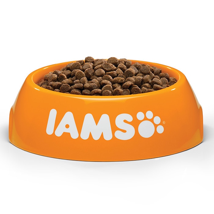 iams 3kg