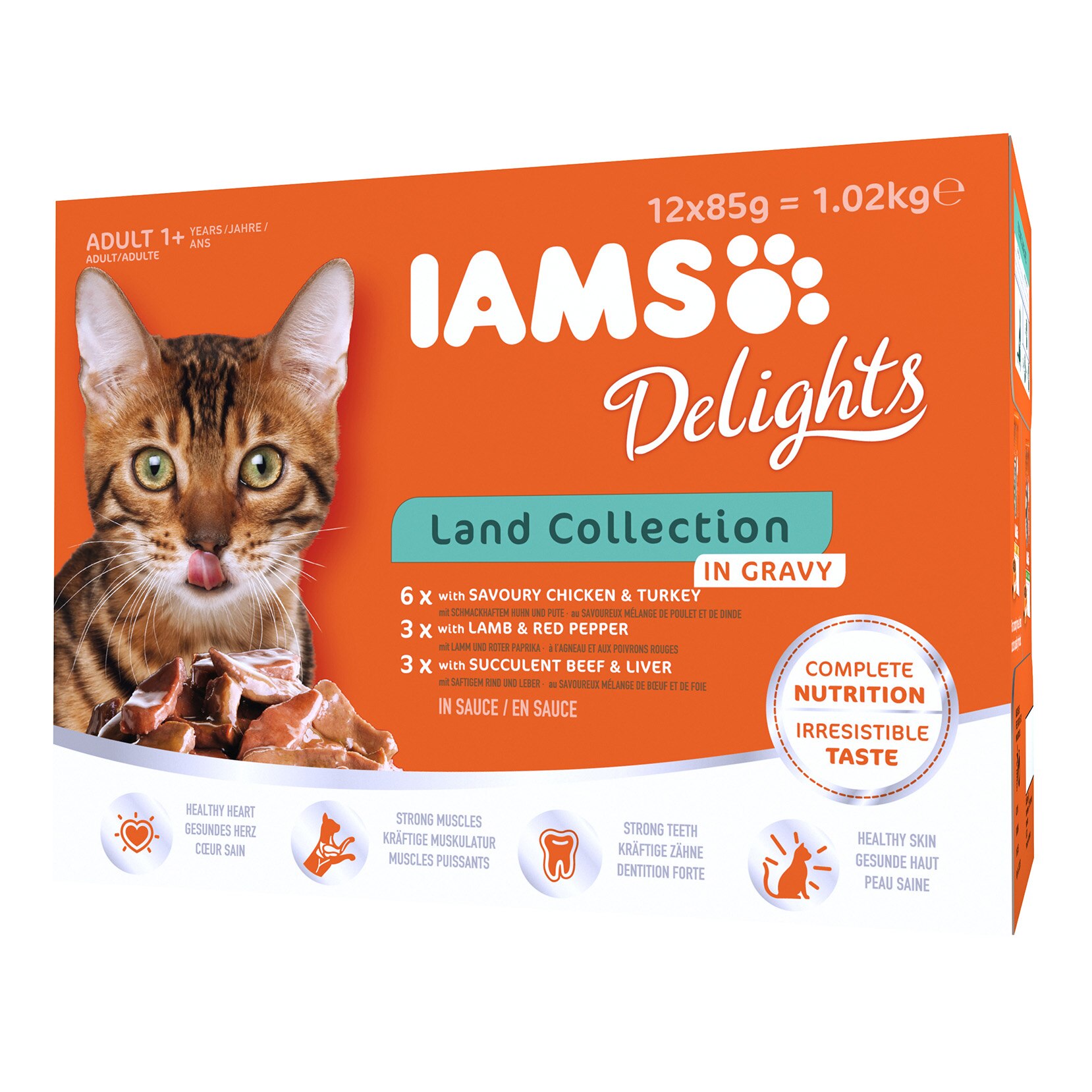Hrana umeda pentru pisici IAMS Delights Land, in Sos, 12x85g