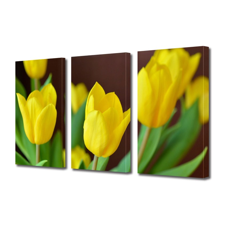 Tablou Multicanvas 3 Piese Flori, Lalele galbene, 45 x 90 cm