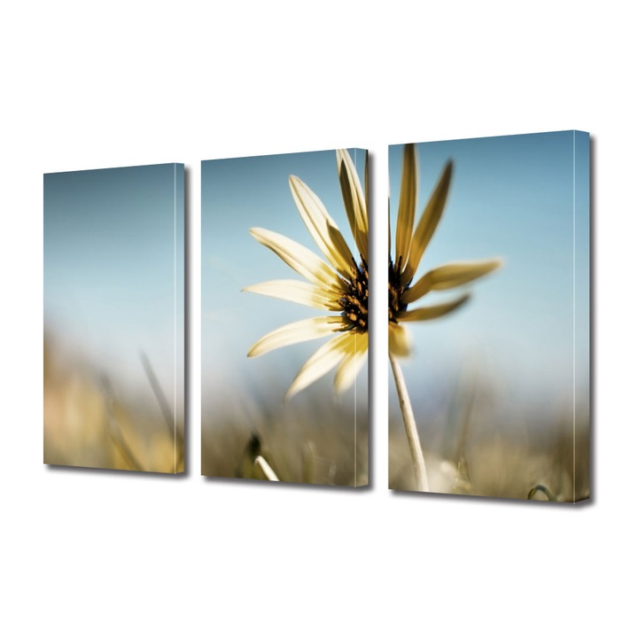 Tablou Multicanvas 3 Piese Flori, Floare de colt, 90 x 180 cm