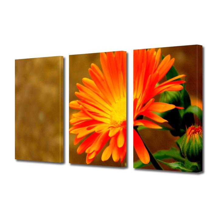 Tablou Multicanvas 3 Piese Flori, Floare Portocalie, 90 x 180 cm