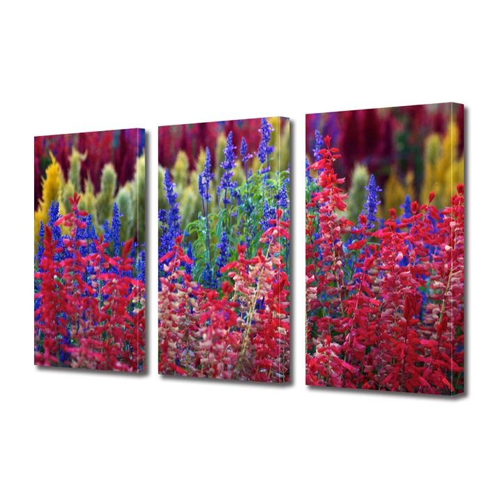 Tablou Multicanvas 3 Piese Flori, Flori curcubeu, 90 x 180 cm