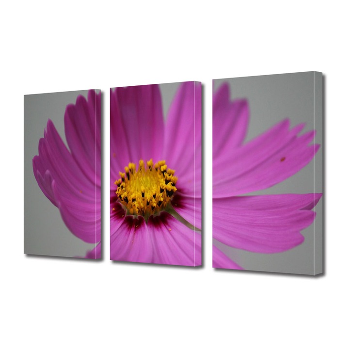 Tablou Multicanvas 3 Piese Flori, Floare Cosmo, 90 x 180 cm