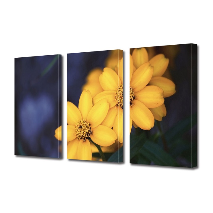 Tablou Multicanvas 3 Piese Flori, Floricele galbenele, 90 x 180 cm